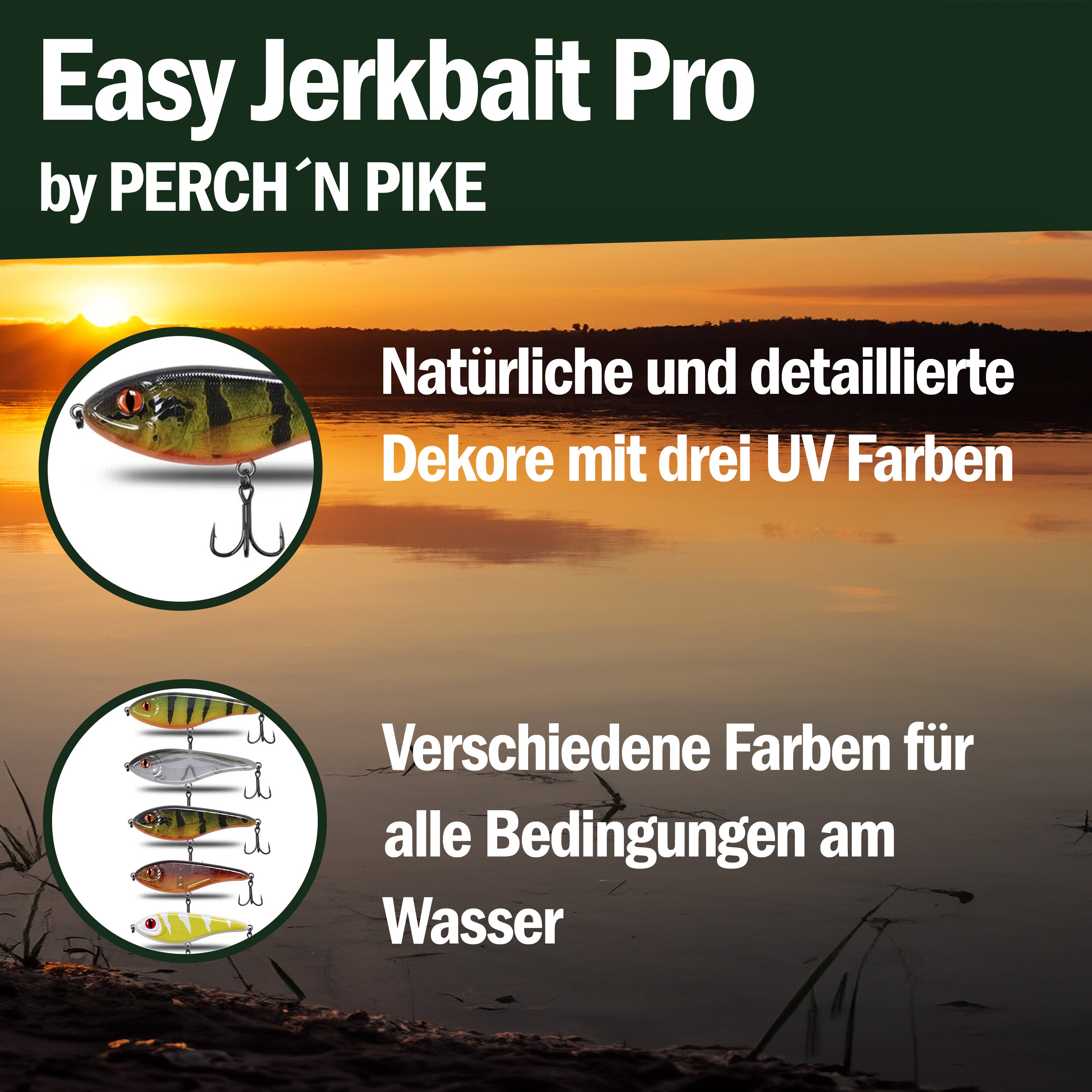 Easy Jerkbait Pro