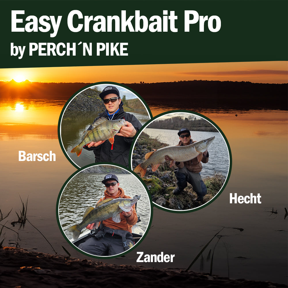 Crankbait Set Pro