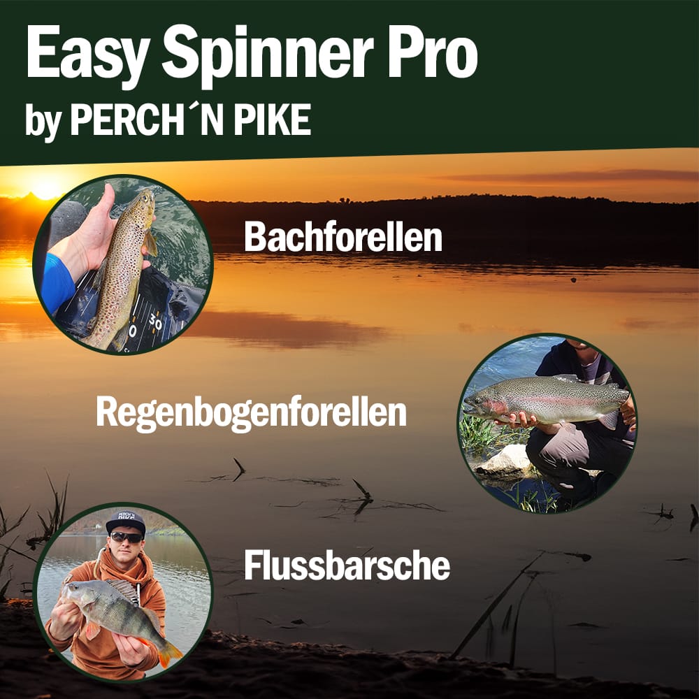 Easy Spinner Pro 6er Set